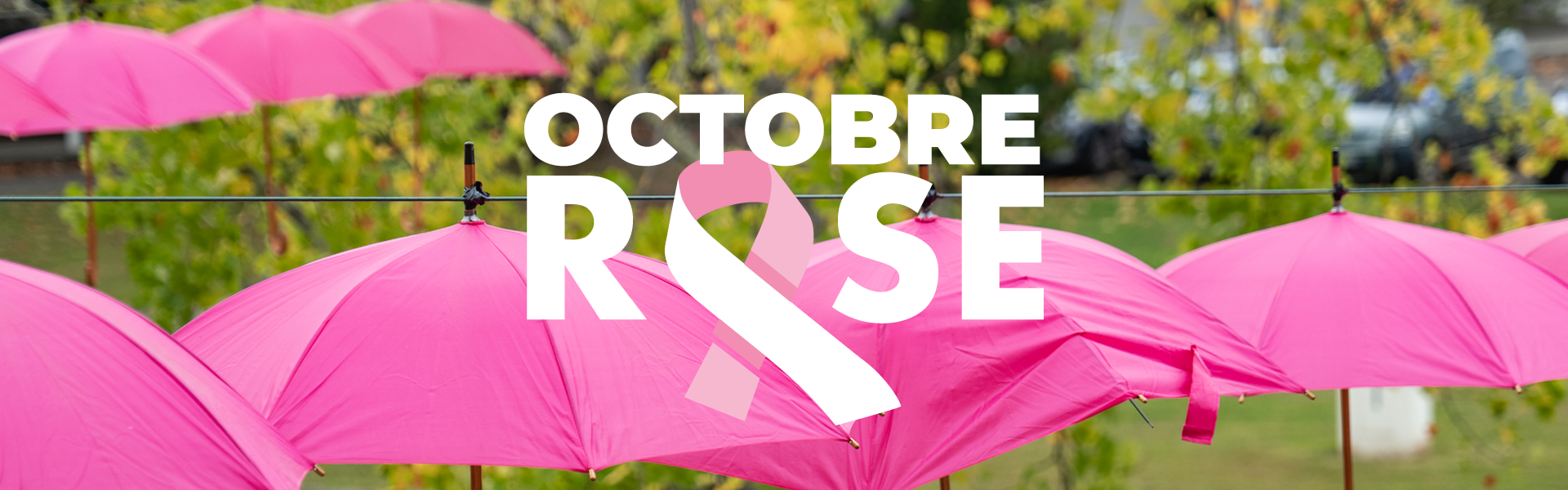 bandeau-octobre rose.png